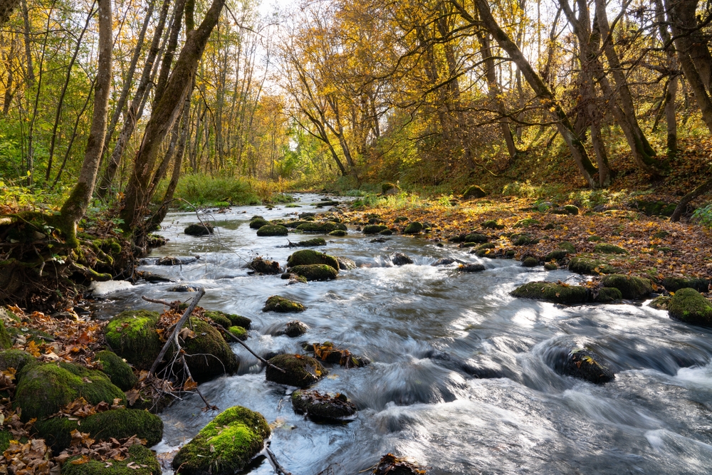 Fot. M.Pakats/Shutterstock