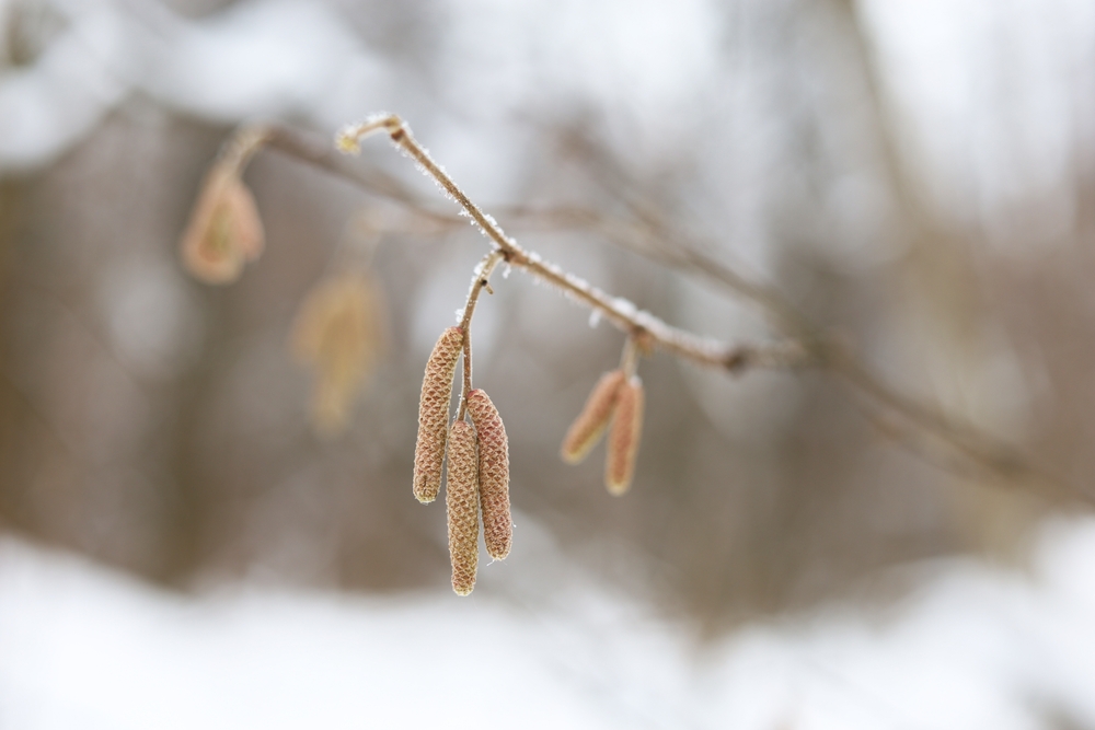 Fot. Oleg Elkov/Shutterstock