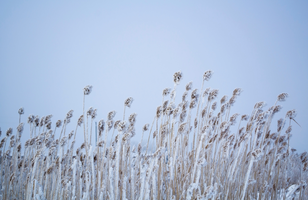 fot. shutterstock