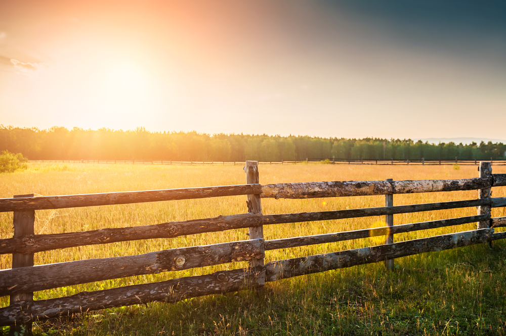 fot. shutterstock
