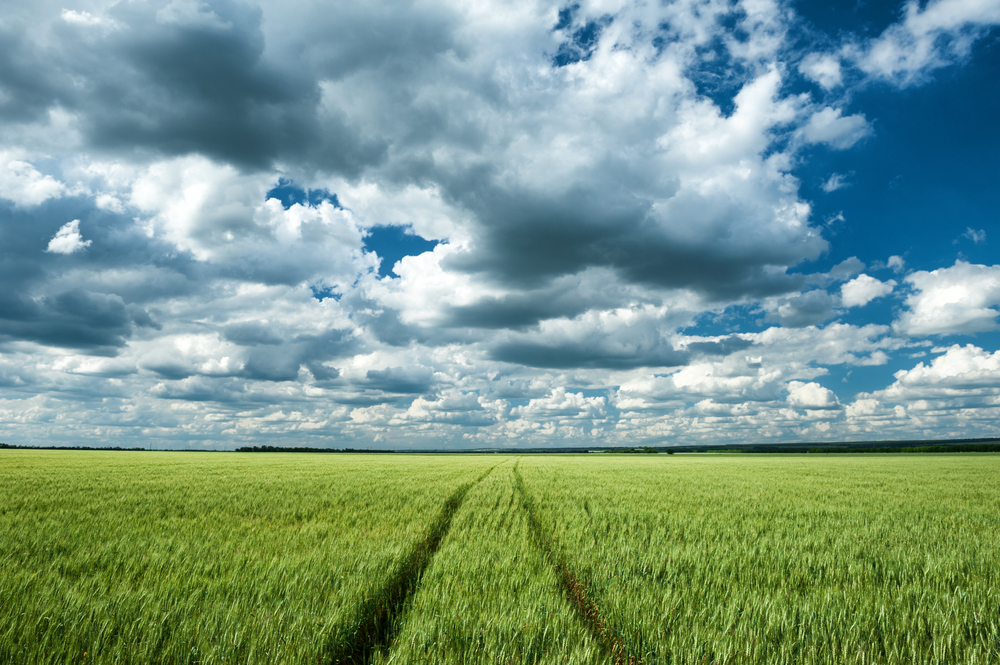 fot. shutterstock