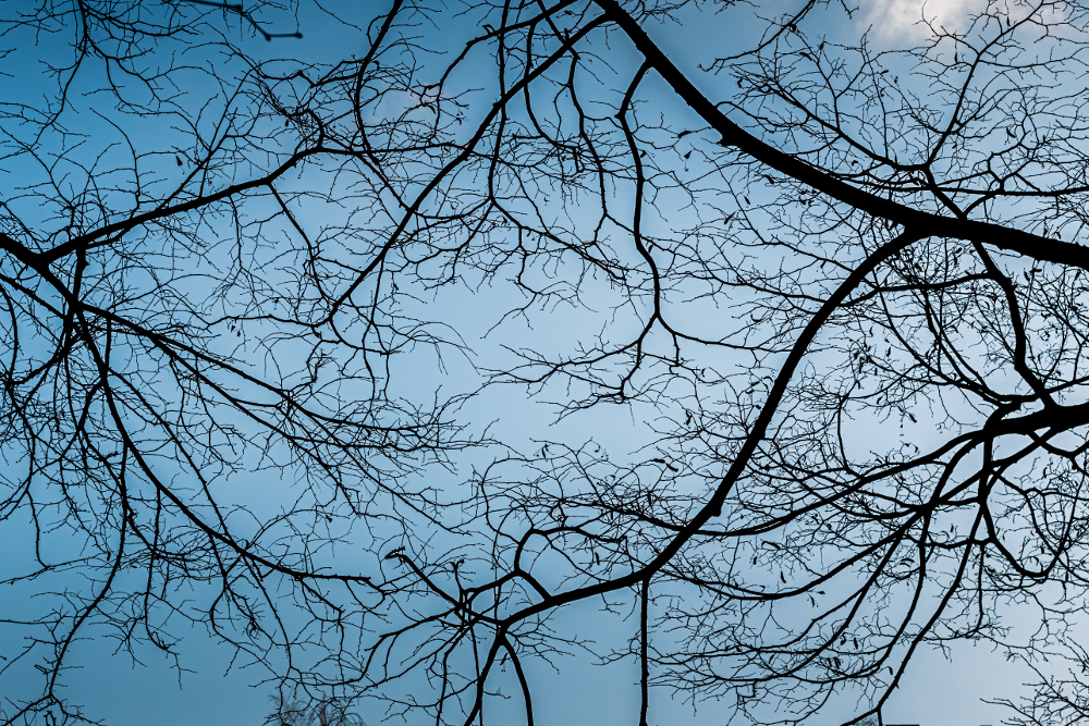 fot. shutterstock