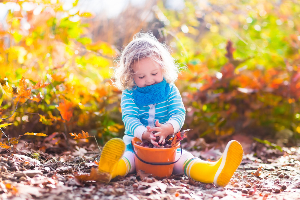 fot. shutterstock