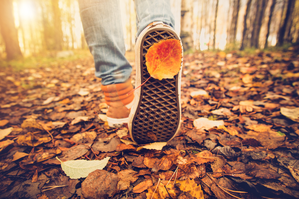 fot. shutterstock