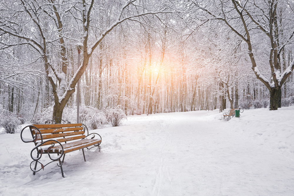 fot. shutterstock