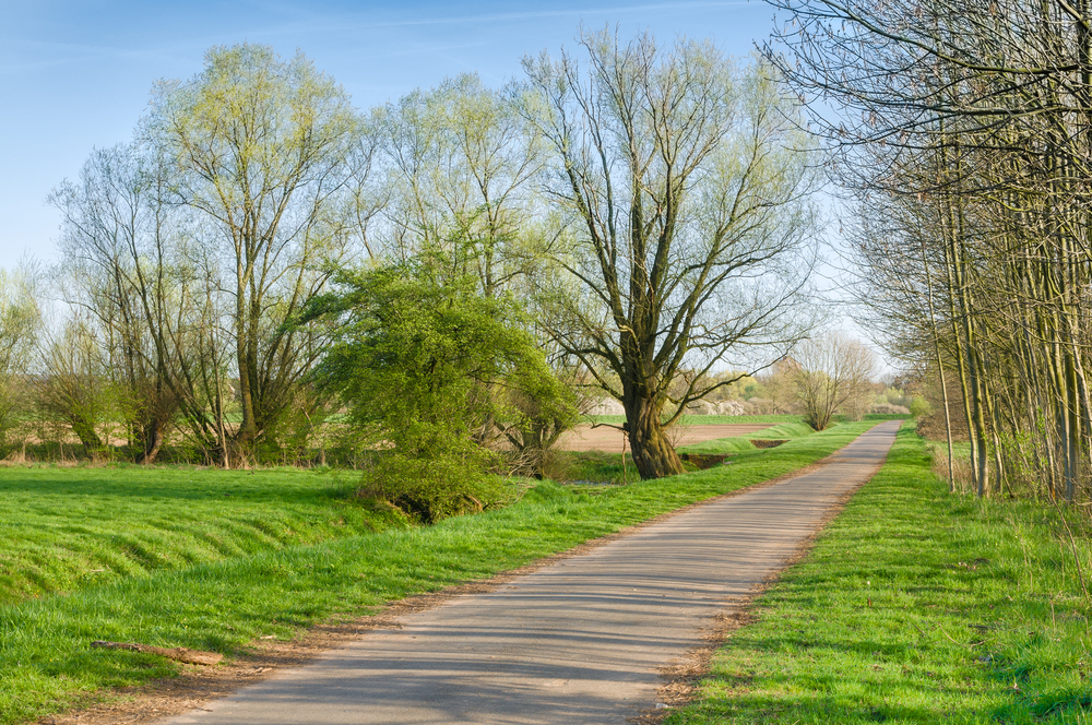 fot. shutterstock