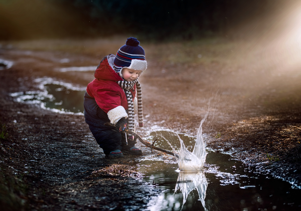 fot. shutterstock