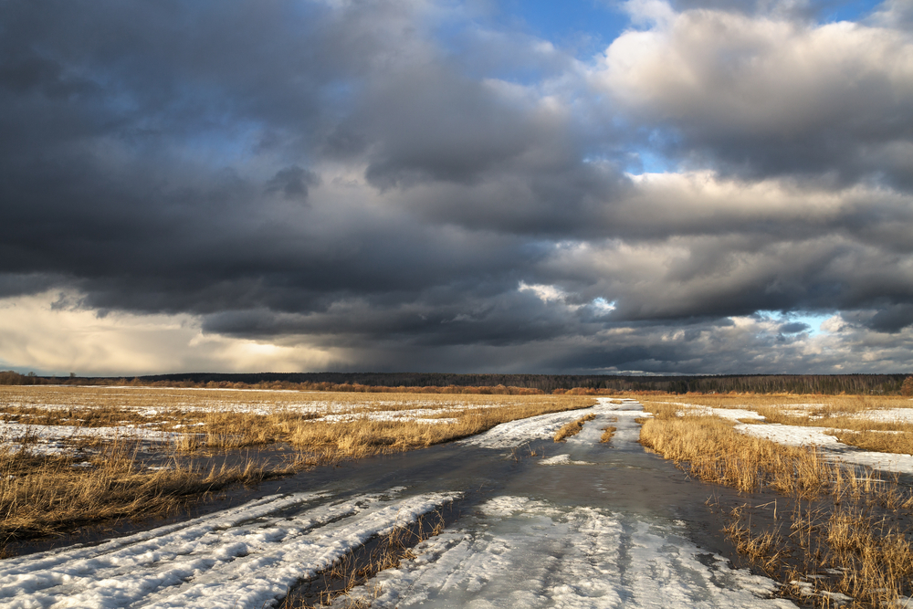 fot. shutterstock