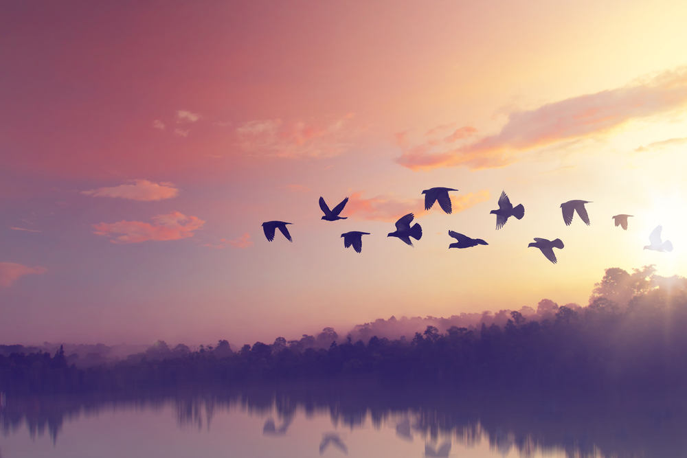 fot. shutterstock