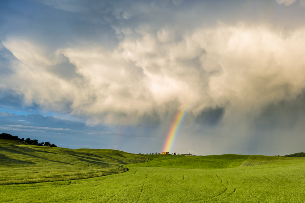 fot. shutterstock