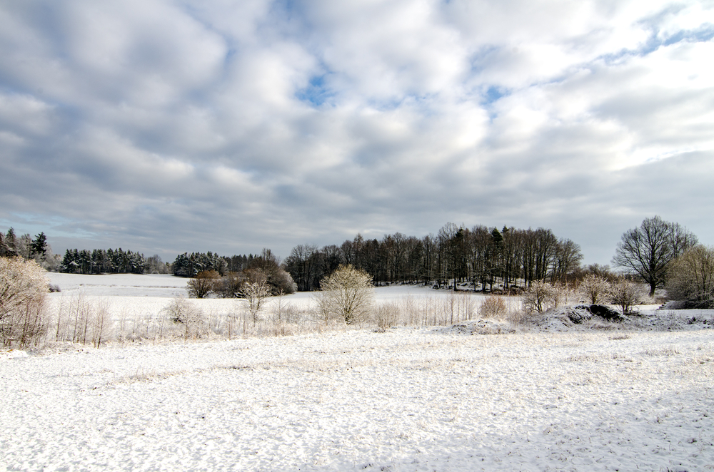 fot. shutterstock