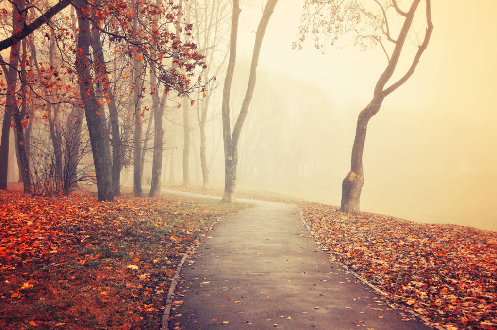 fot. shutterstock