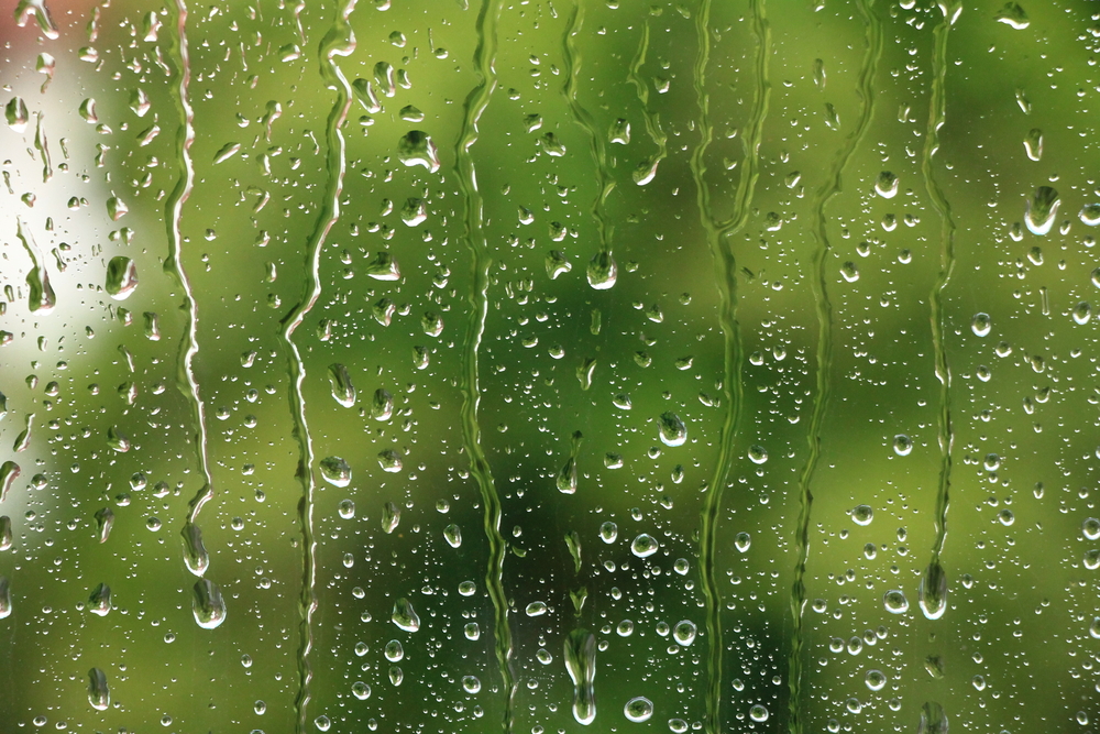 fot. shutterstock
