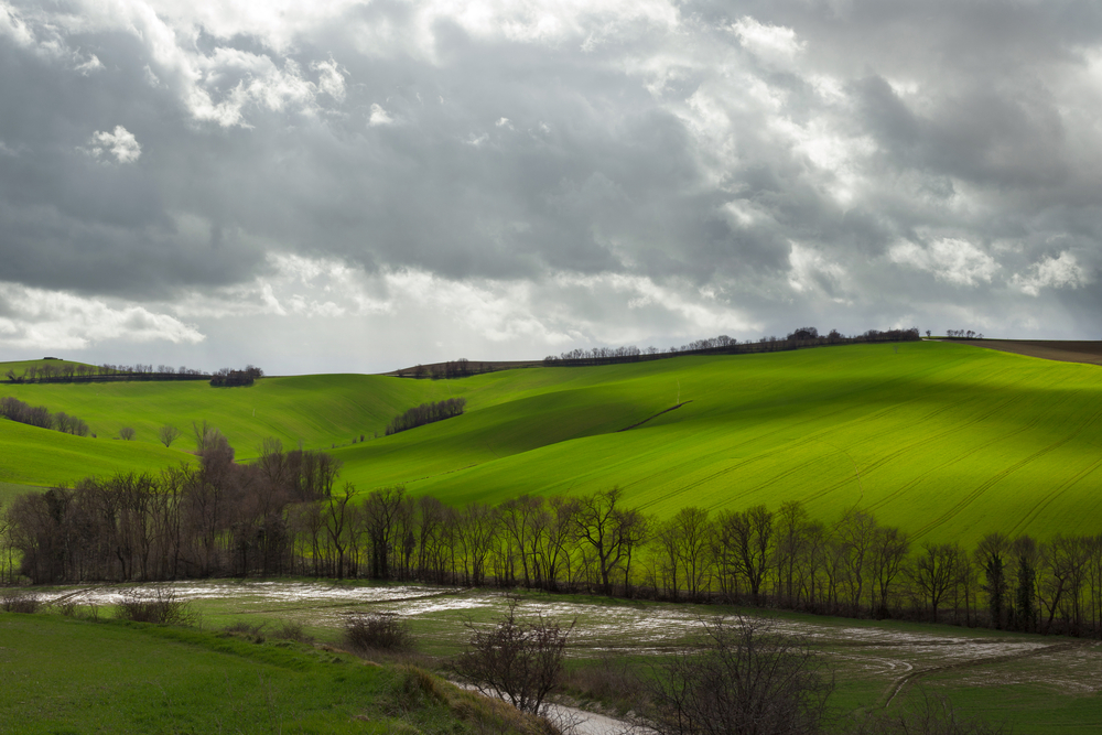 fot. shutterstock