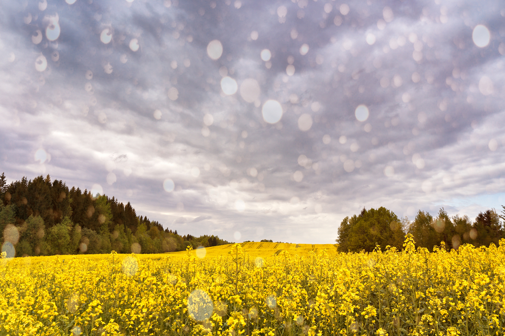fot. shutterstock