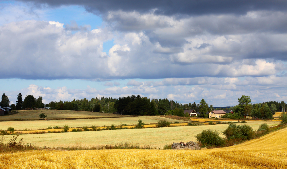 fot. shutterstock
