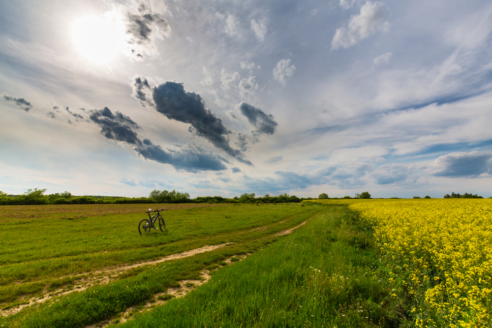 fot. shutterstock