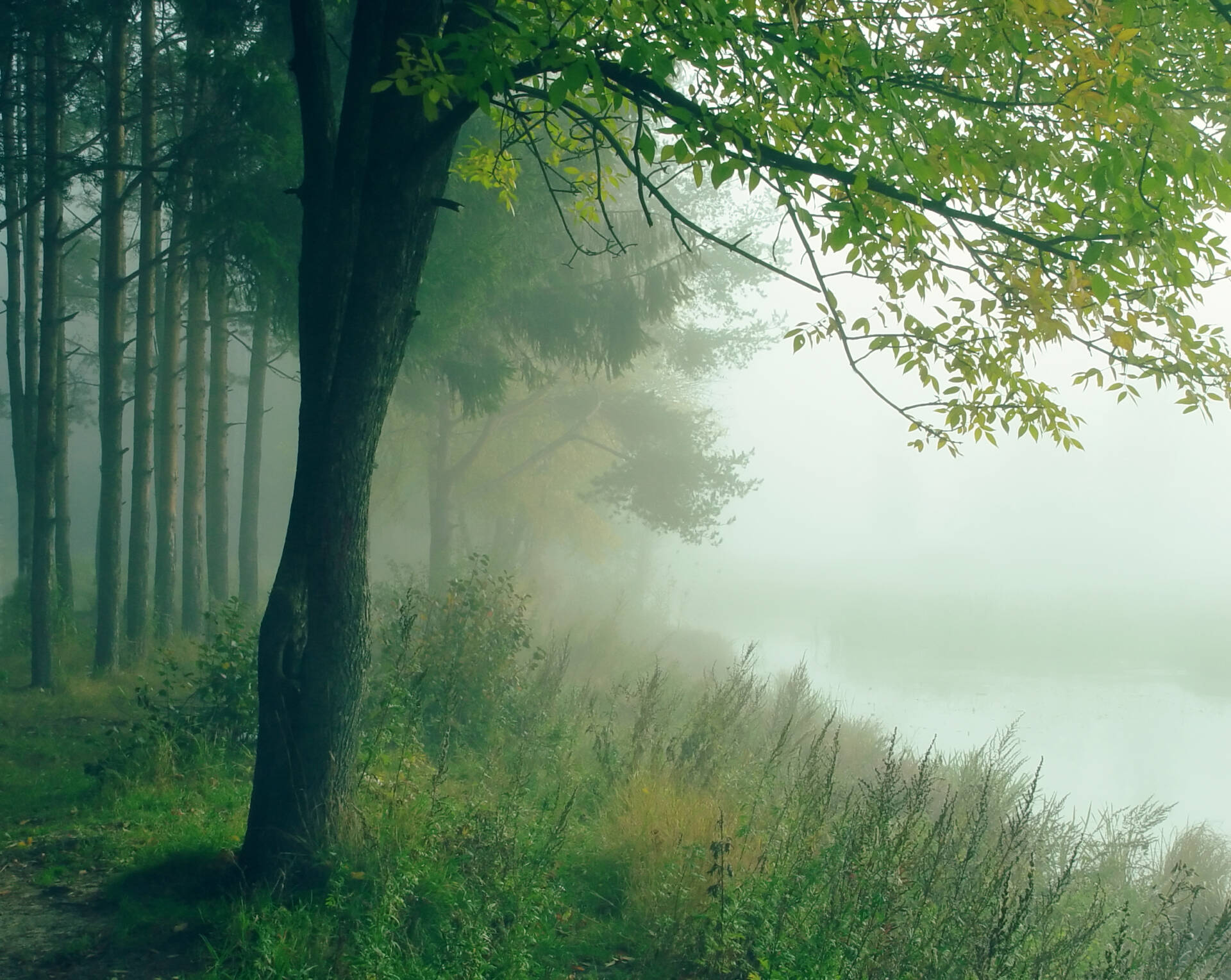 fot. shutterstock