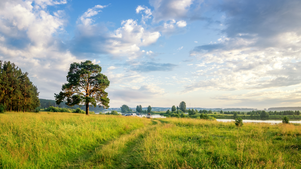 fot. shutterstock