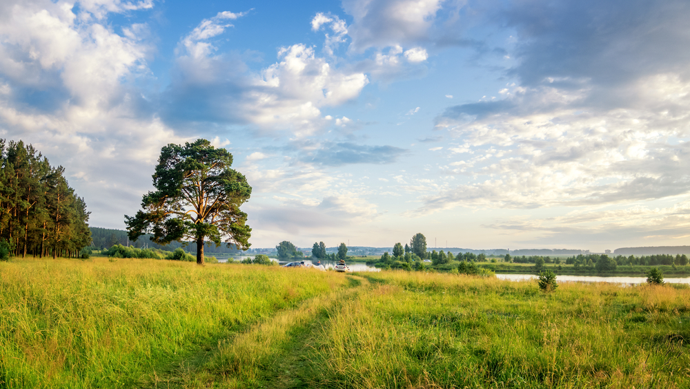 Fot. 7ynp100/shutterstock