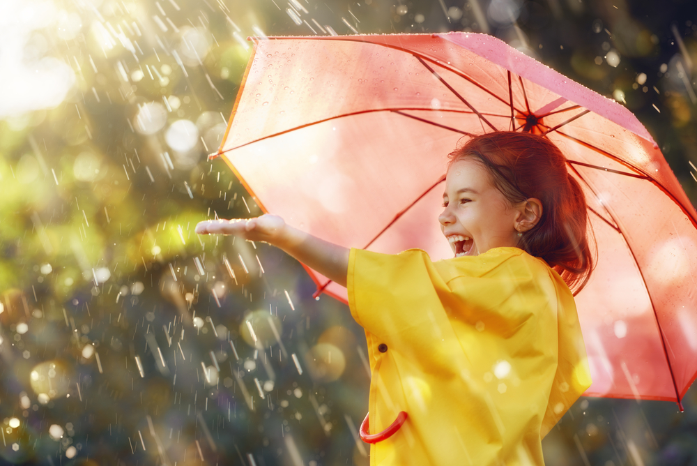 fot. shutterstock