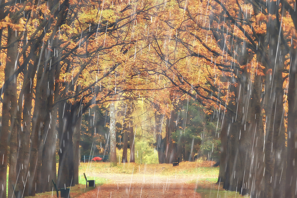 fot. shutterstock
