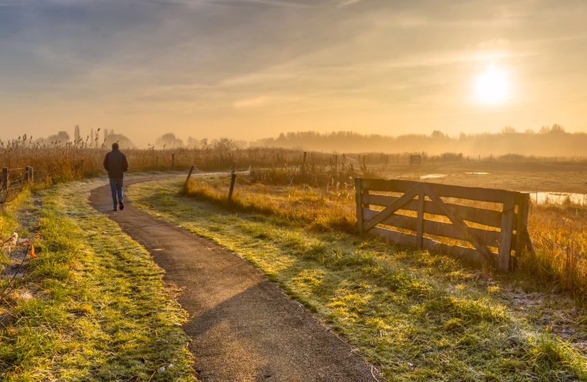 fot. shutterstock