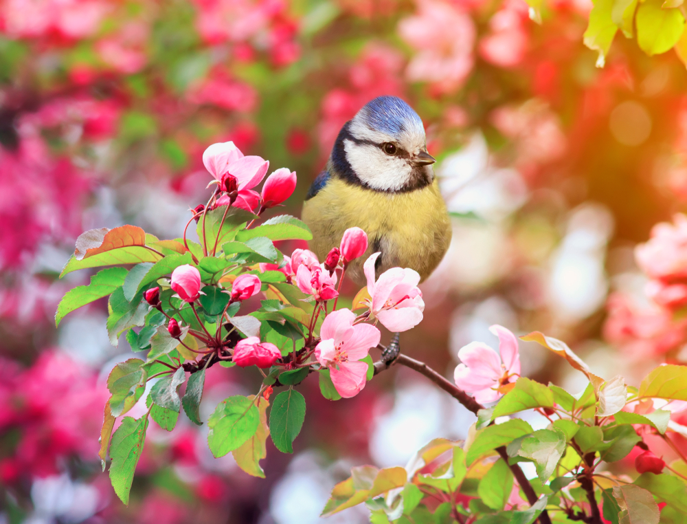 fot. shutterstock