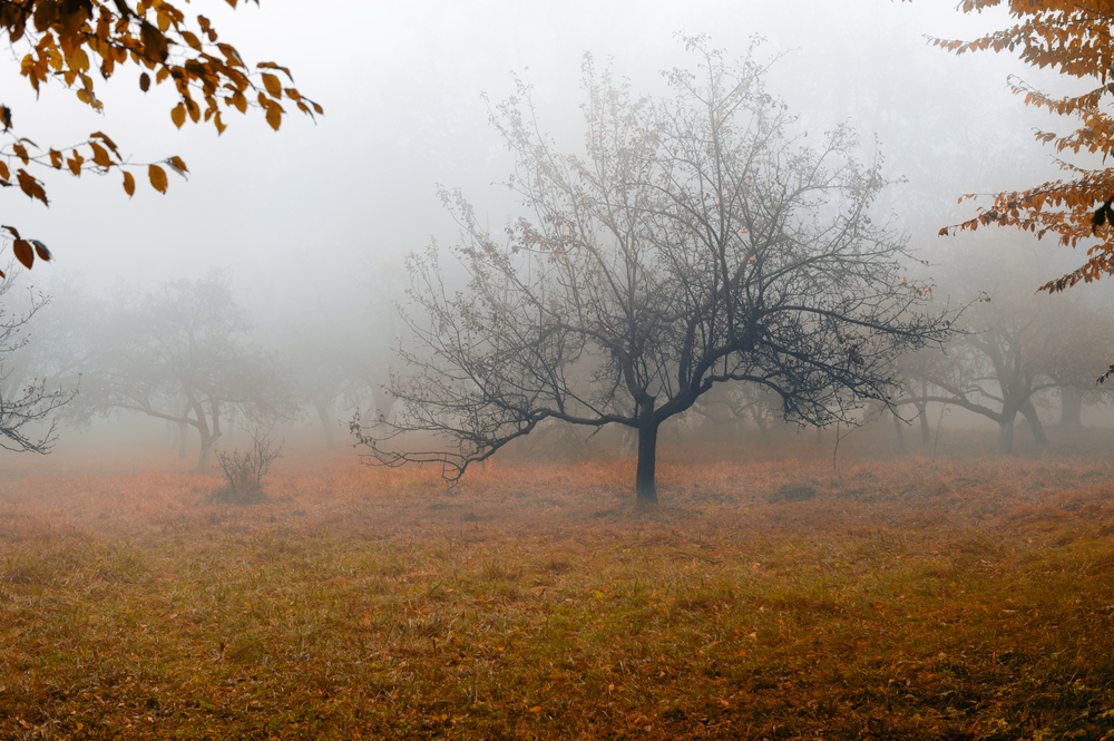 fot. shutterstock