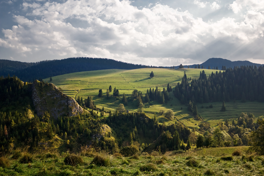 fot. shutterstock