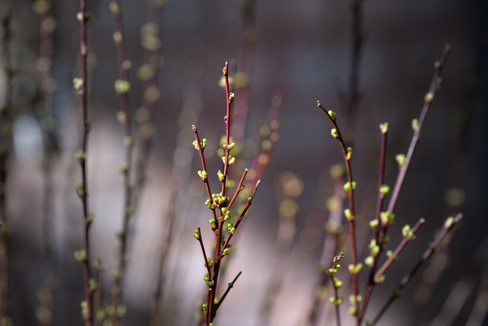 fot. shutterstock