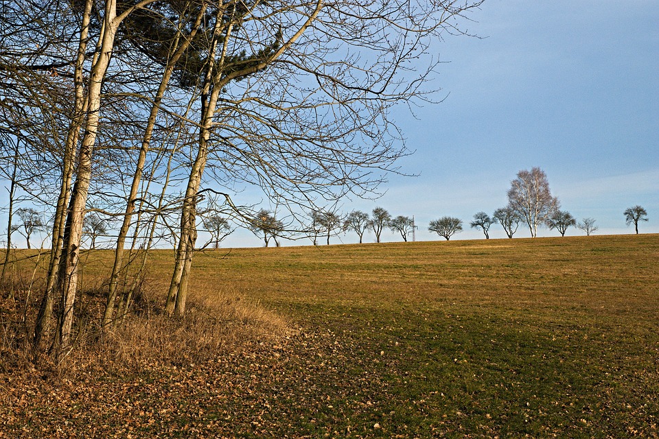 fot. pixabay.com