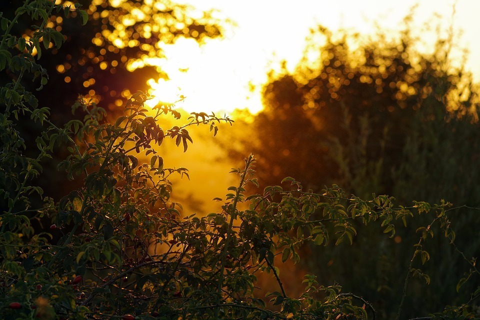 pixabay.com