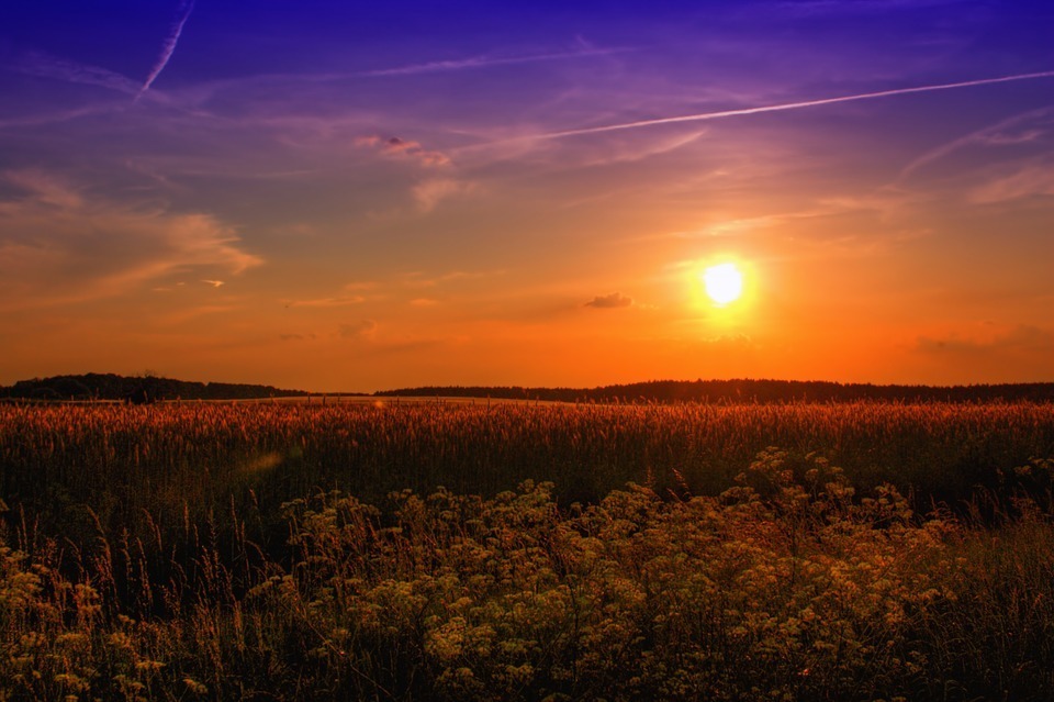 pixabay.com