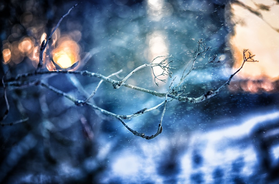 fot. pixabay.com