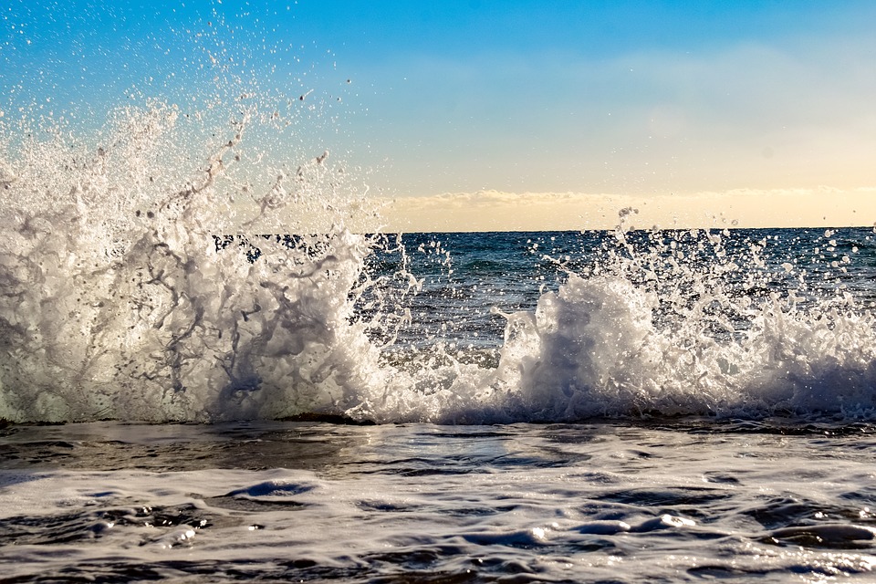 fot. pixabay.com