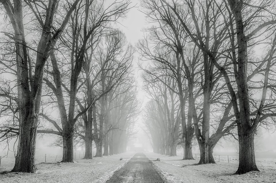 pixabay.com