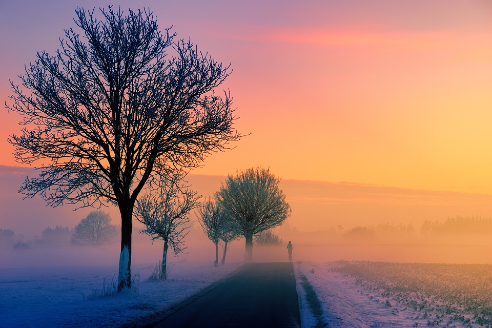 pixabay.com