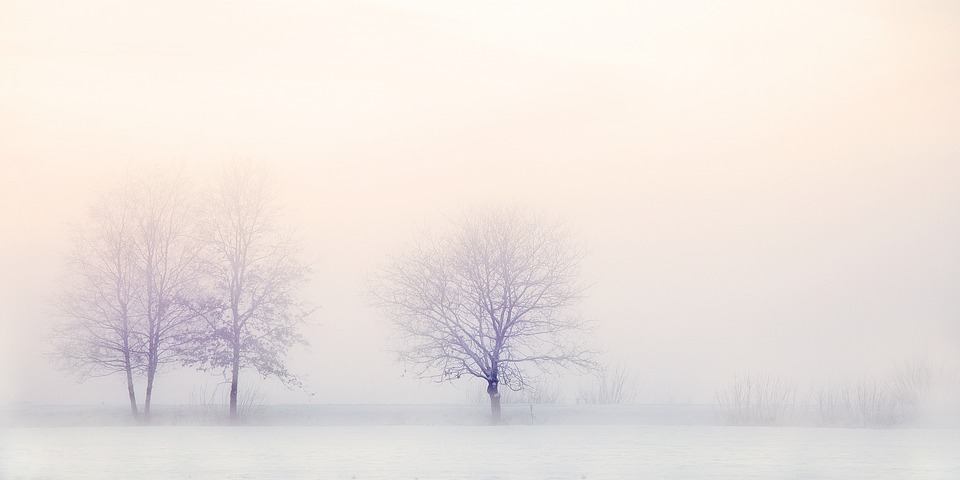 pixabay.com