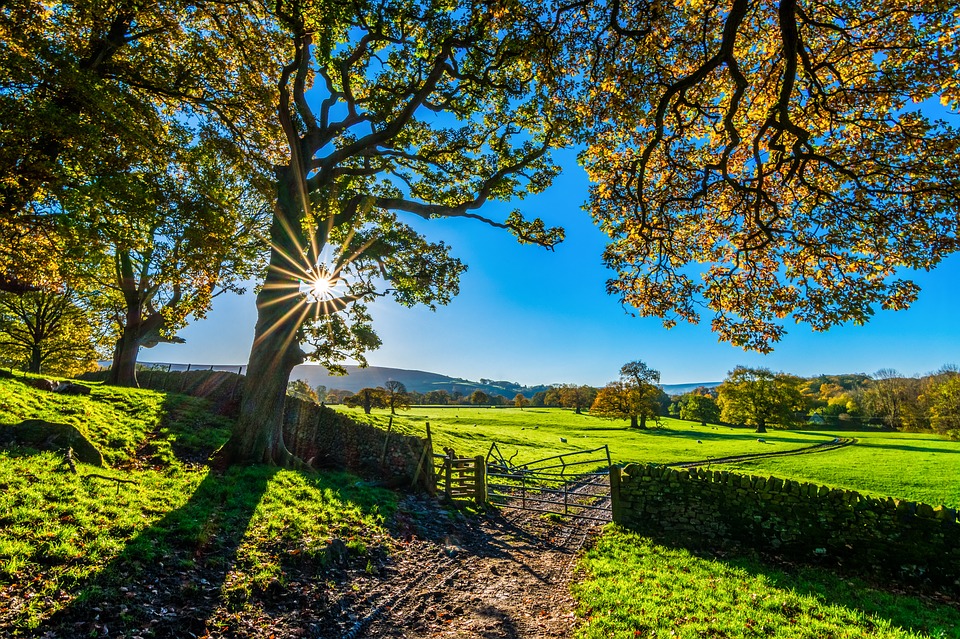 pixabay.com