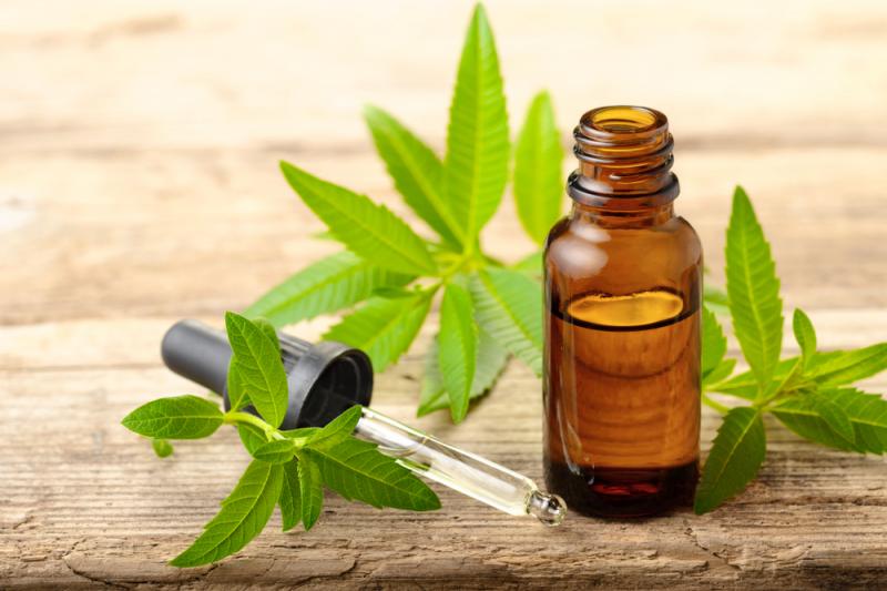 Olejek eteryczny z werbeny, fot. AmyLv/Shutterstock