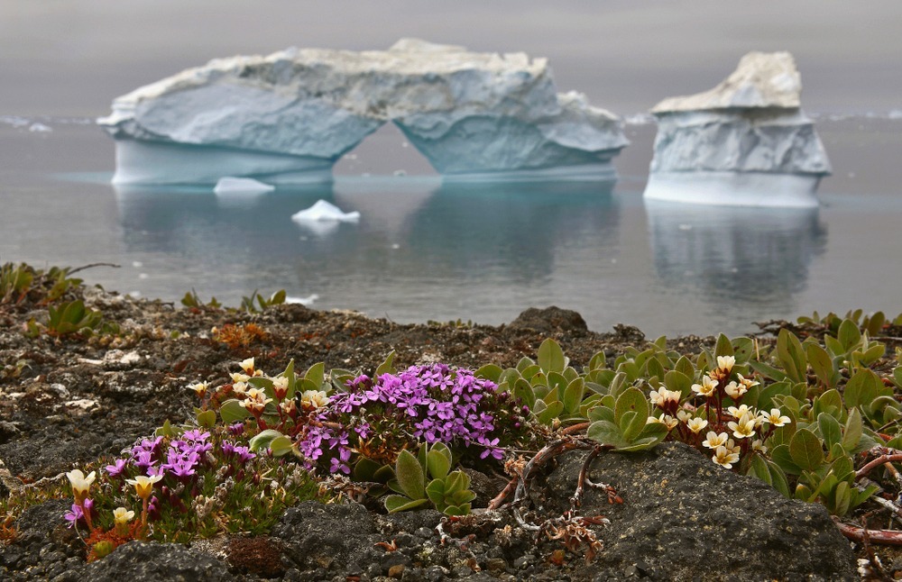 Fot. Sergey Uryadnikov/Shutterstock