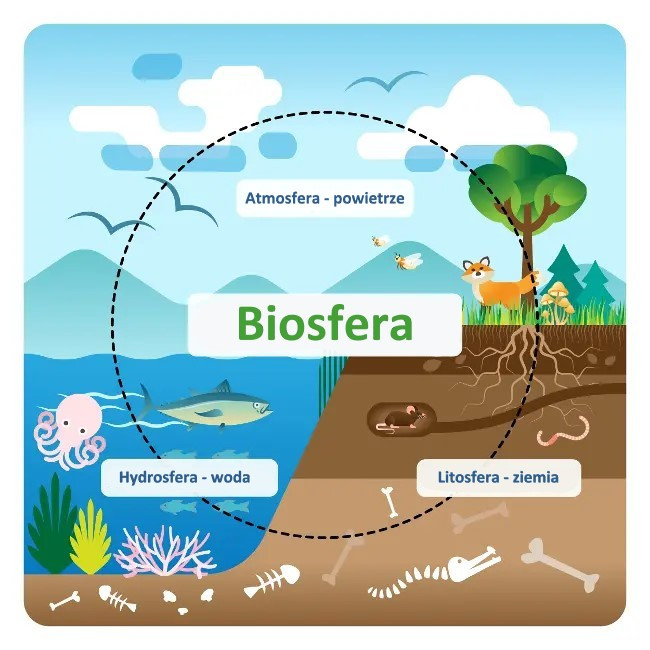 Biosfera
