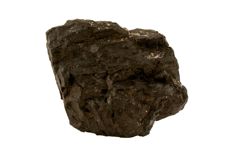 Bryłka węgla brunatnego