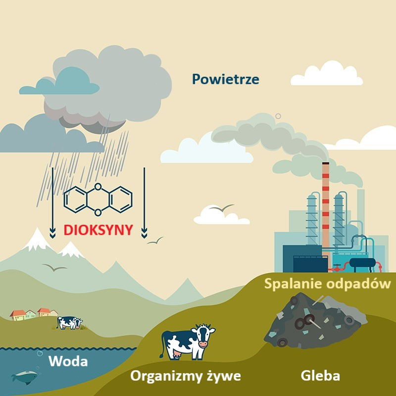 Dioksyny są trwałymi zanieczyszczeniami organicznymi 