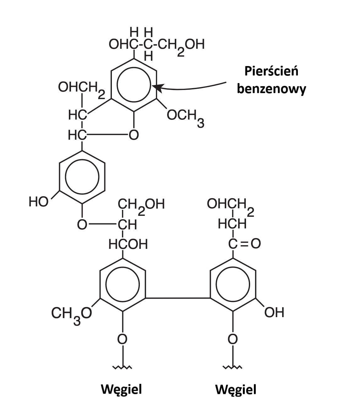 Fragment struktury chemicznej węgla brunatnego