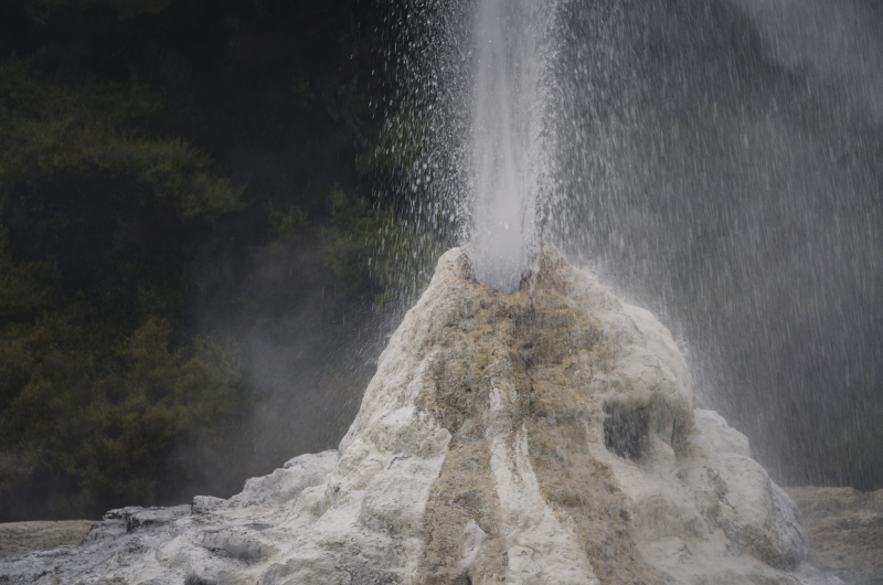 Lady Knox Geyser na Wyspie Północnej Nowej Zelandii