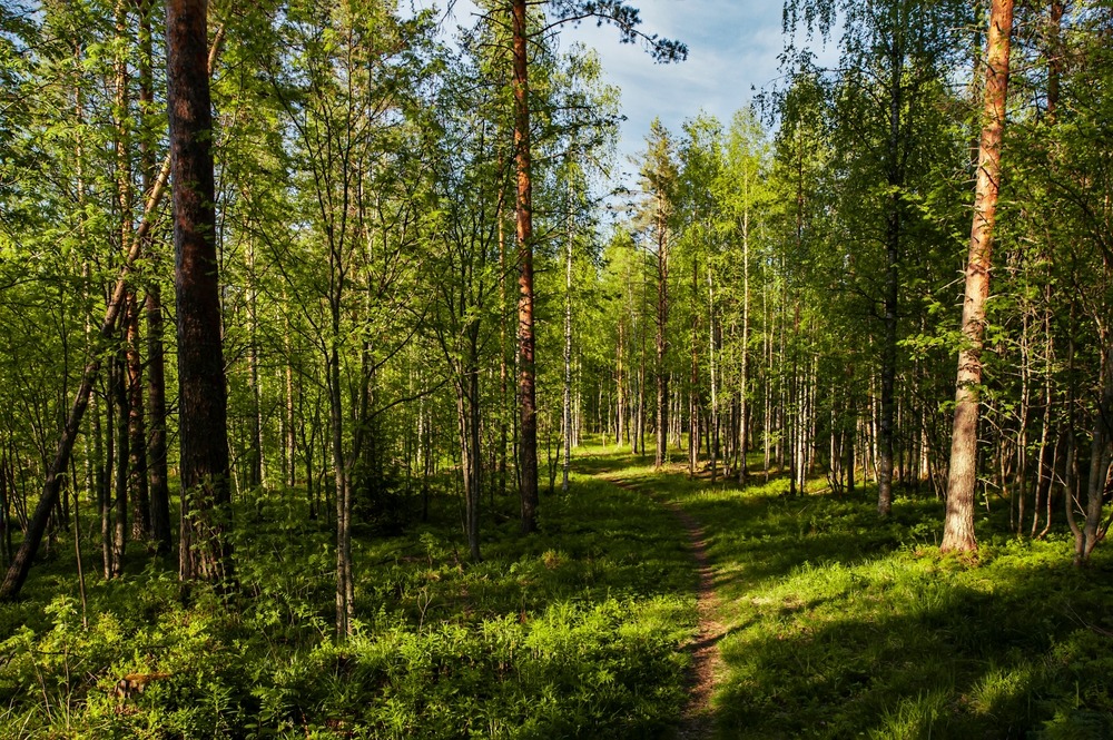 Fot. Tina Zhou/Shutterstock