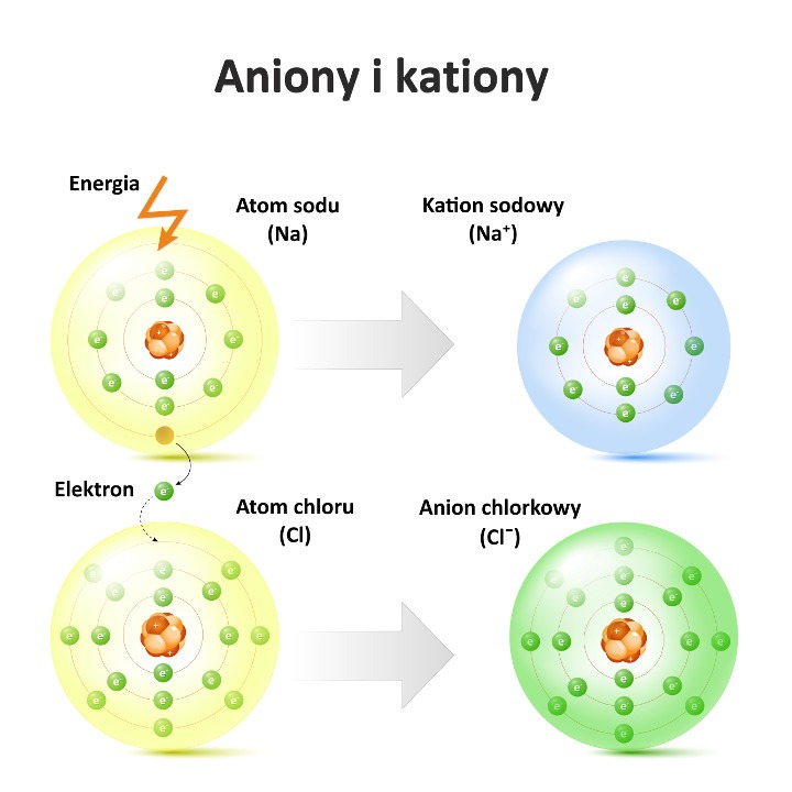 Tworzenie się kationu sodu (Na⁺) i anionu chlorkowego (Cl¯) w wyniku przeniesienia elektronu z atomu sodu (Na) (donora) na atom chloru (Cl) (akceptor). (infografika/Shutterstock)