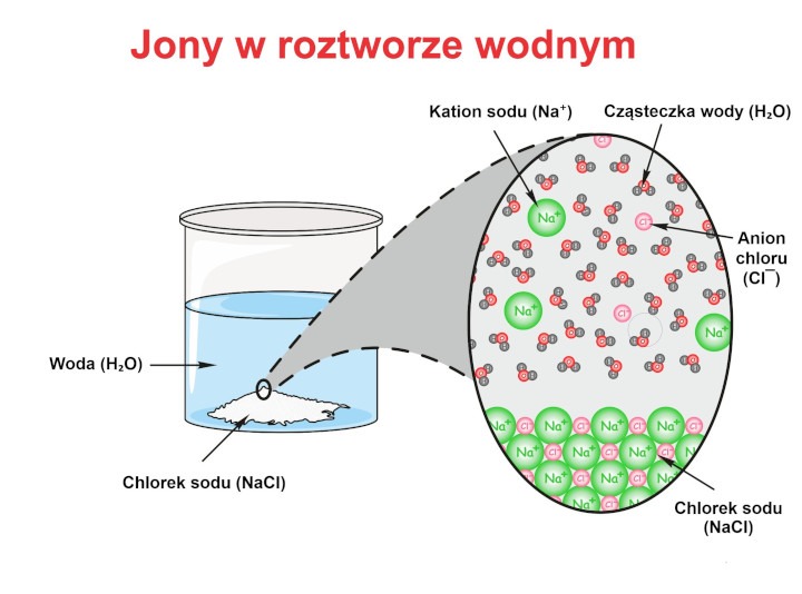 Dysocjacja elektrolityczna substancji jonowej – chlorku sodu (NaCl). (infografika/Shutterstock)